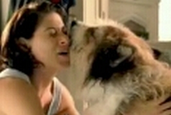 Vous embrassez votre chien ? Savez-vous ce qu'il a fait auparavant ? L'affection canine en vidéo