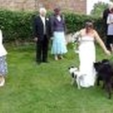 Un chien à un mariage